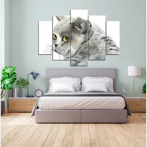 GATO 12