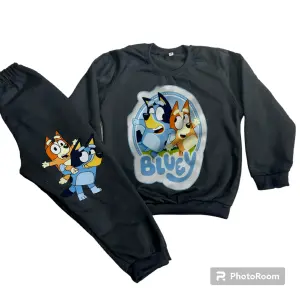 Sudadera Niños Bluey y Bingo: ¡La comodidad y diversión que tus hijos necesitan! - Sudadera Niños Bluey y Bingo