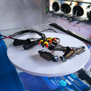 Cucuyos raptor (tb116b-y)