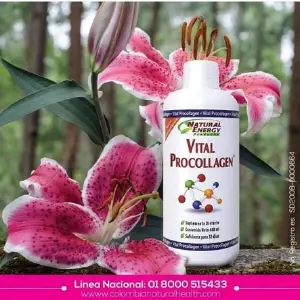 Vital Procolágeno PRECURSOR del colágeno