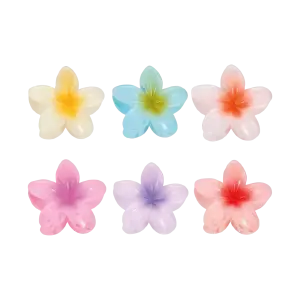 Pinza hawaian colors