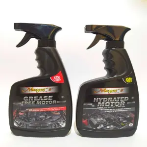 Kit limpieza de Motor