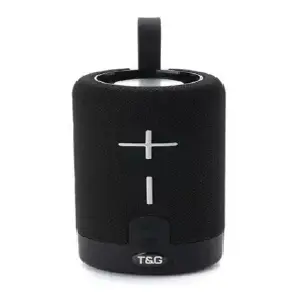 PARLANTE T&G 619