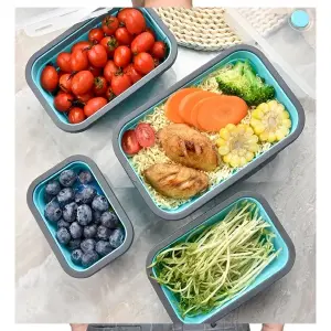 Set Recipientes Expandible x 4 Piezas