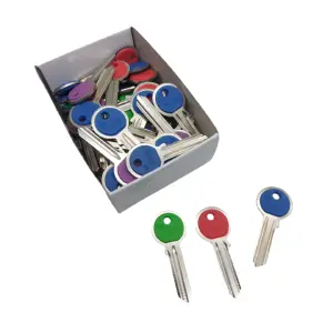 MOLDE COLORES DERECHO YALE X50PCS