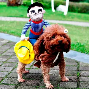 Disfraz De Vaquero Jinete Perro TV50
