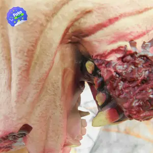 Máscara De Cerdo Diabólico Látex OF-627