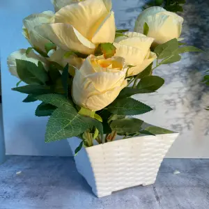 Matero pequeño blanco