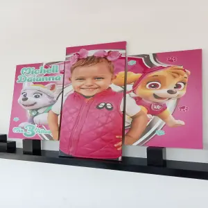 Cuadro Paw Patrol (Personalizado)