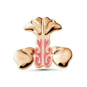 Cornetes otorrino fono