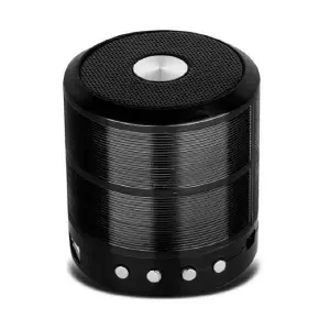 Parlante Portátil WS887
