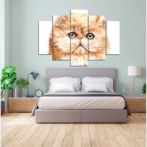 GATO 15