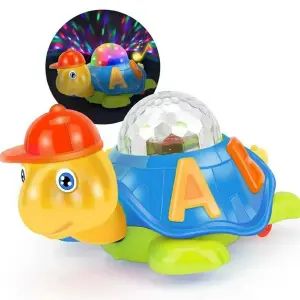 Tortuga De Aprendizaje Luces - Unidad