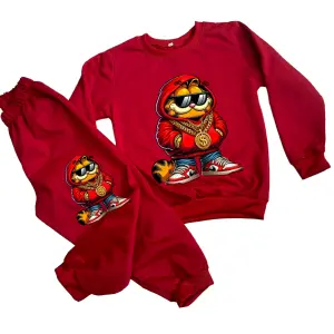 Sudaderas Niño Garfield