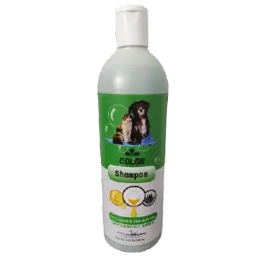 SHAMPOO COlOR 500 ML