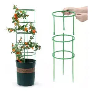 Soporte Plantas Enredaderas