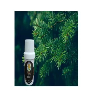 Aceite esencial pino cypress