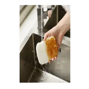 Esponja Absorbent Comprimida PulpaMadera