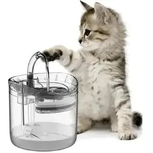 Fuente De Agua Para Mascotas Perros Y G