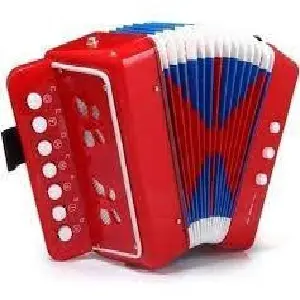 Acordeón Vallenato Para Niños