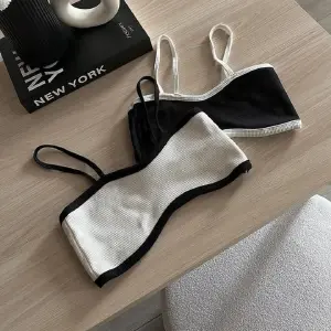 Top Daphne