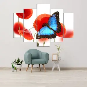 MARIPOSAS 11