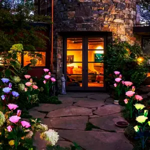 Rosas Led
