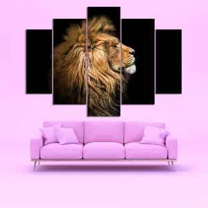 FELINOS 06