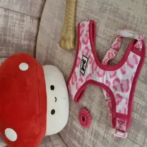 Arnes para perros
