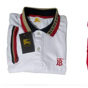 Camibusos tipo polo