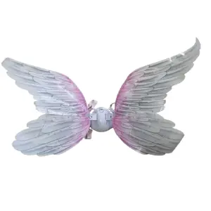 Alas mariposa grande iluminada brillant