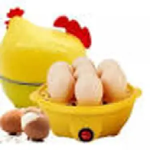 GALLINA HERVIDORA DE HUEVOS