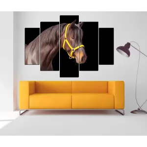 CABALLOS 23