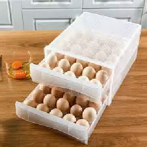 ORGANIZADOR DE HUEVOS