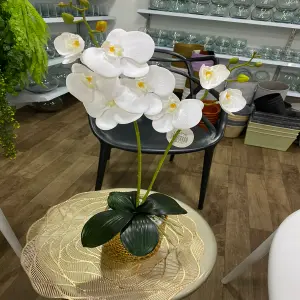 Flor decoración blanca