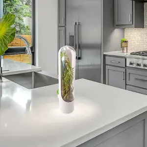 Capsula Contenedor Conservador Hierbas