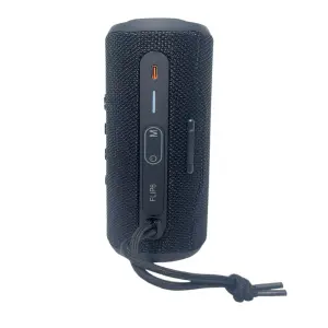 Parlante Bluetooth Flip6 Negro