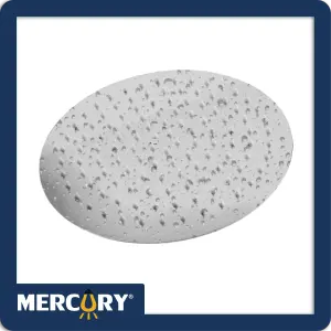 DUCHA AGUA FRIA 10" REDONDA ACERO INOXI