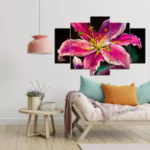 FLORES 31