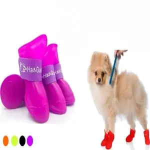 Zapatos para mascota talla XL