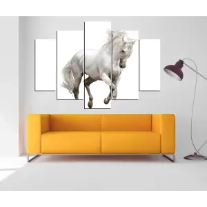 CABALLOS 22