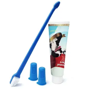 Kit Dental Care Sabor Carne Con Cepillo