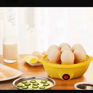 GALLINA HERVIDORA DE HUEVOS