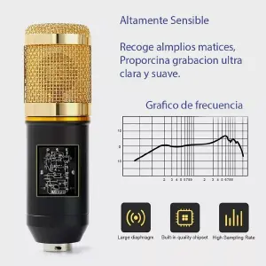 Micrófono Condensador EstudioProfesional