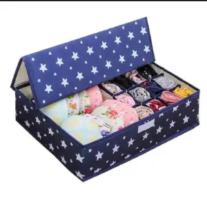 Estuche  de  ropa  interior