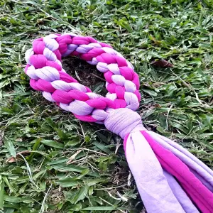 Juguete para perro color morado y fucsia