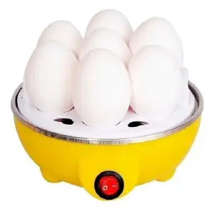gallina hervidora de huevos