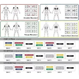 Tabla Push Up Sistema Completo Ejercicio
