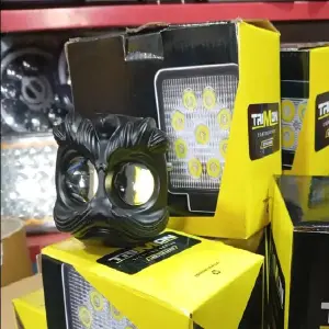 JUEGO EXPLORADORA LEON