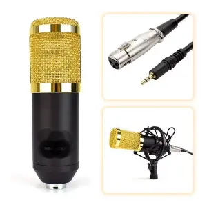 Micrófono condensador profesional BM-80